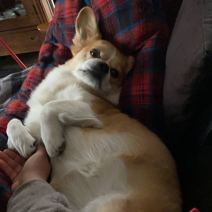 1596456b 9142 4674 99de 4a06361cf6cb 1646225928725