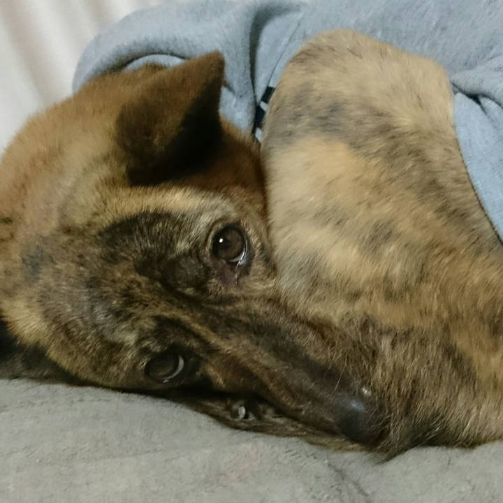 1596667b 1030 4f08 95be 3f689ec5f7e8 1515158744985