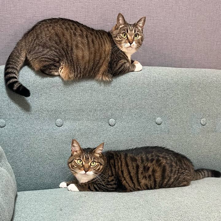 15966fc8 2505 48de 89c5 af759523c698 1761054769363