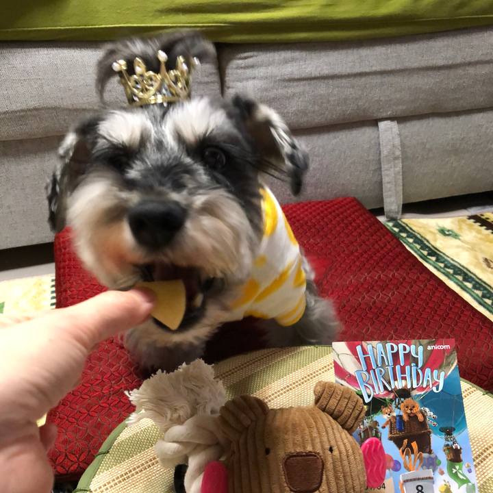 15972bf2 f684 4299 b899 74644c261099 1641298611402