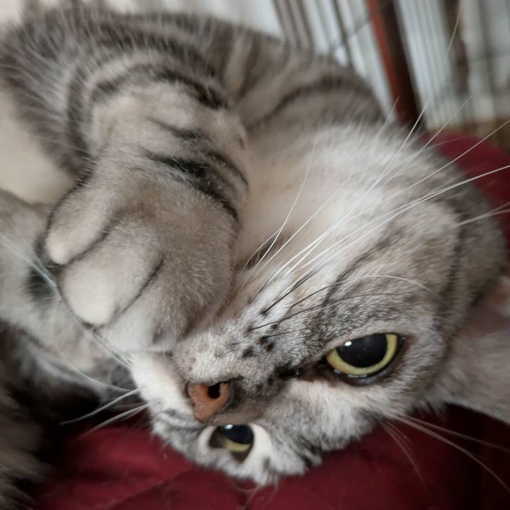 15975a6d 9074 48e0 aeb8 9b52d4622702 1753595436081