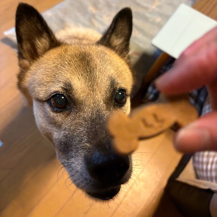 15975c41 bee2 46f3 8941 1c2eccd55dc4 1759838017248