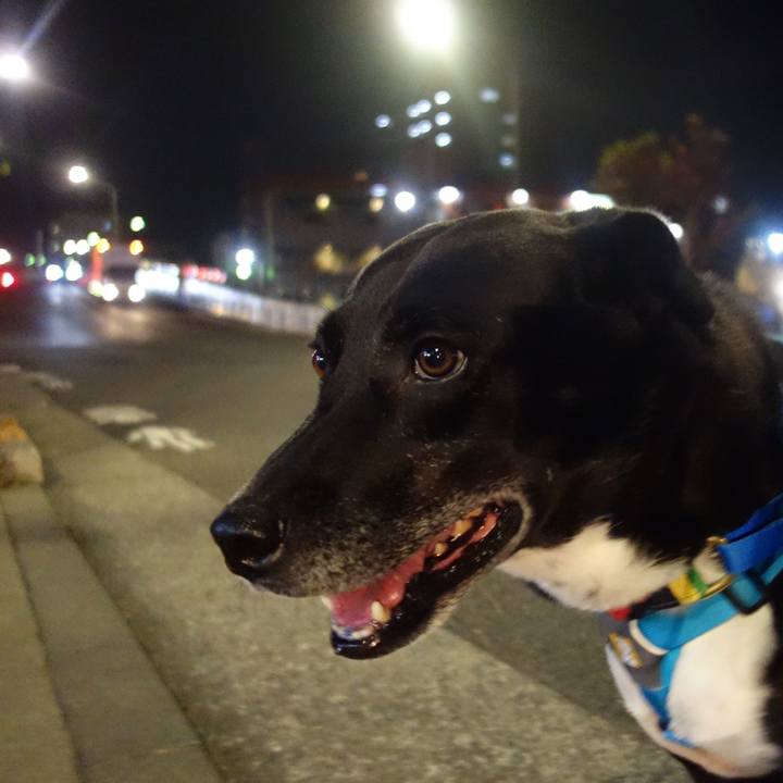 159762c5 1e2c 4072 9fca 2d28401ae274 1668164940978