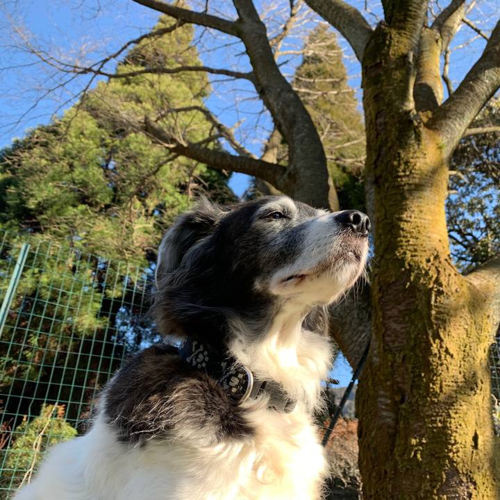 159767a9 a905 4df7 a272 eae8185b09c6 1578045490525