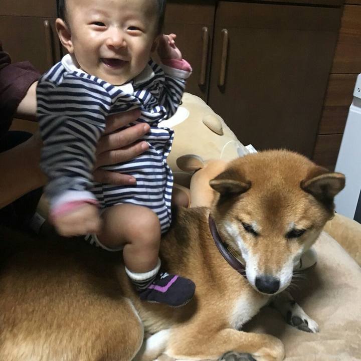 15978357 003f 47a3 a1f3 efcb65b8380b 1539392104925