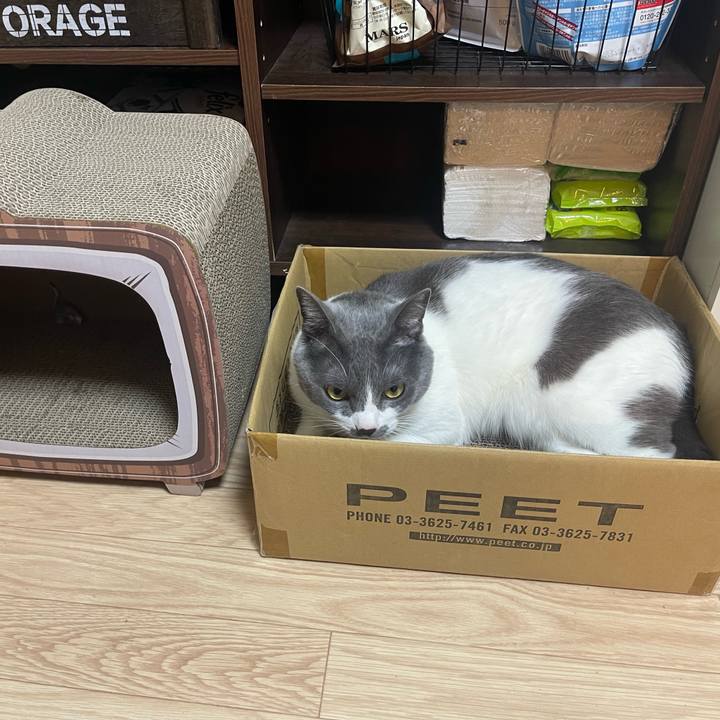 1597a26a 3e57 4c7a b525 3bee8d6b14b2 1669274915358