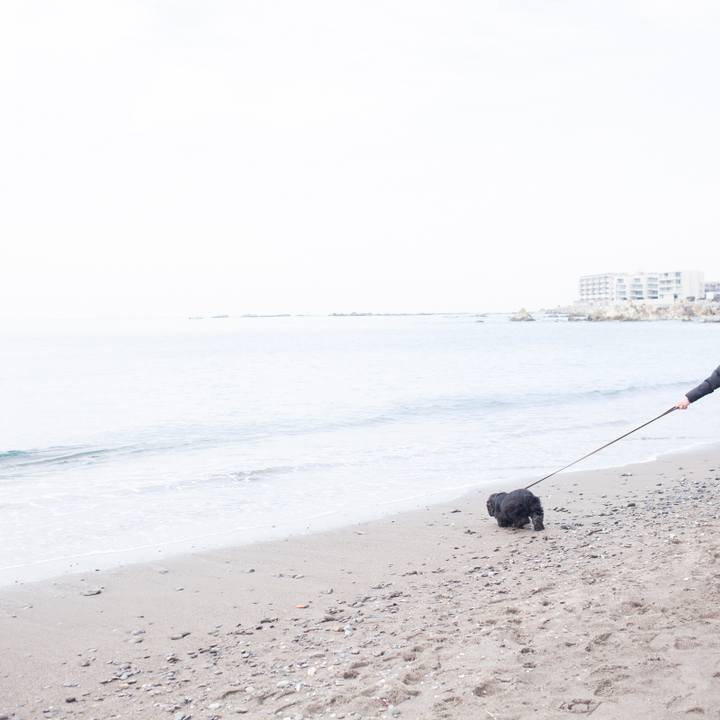 1597a3b6 c540 449c bfb5 1decaf17cd0b 1550321255658