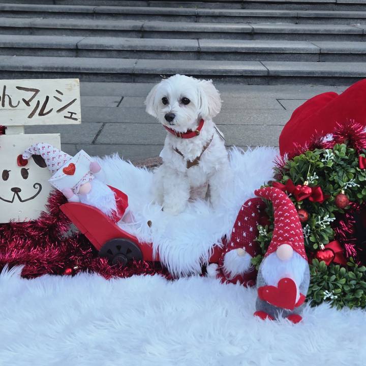 1597abc8 7de6 4f30 8aac dc2e384881df 1766220437237