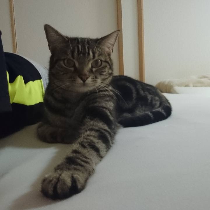 1597bce4 99ce 4b0a a416 82805fb76952 1557195597662