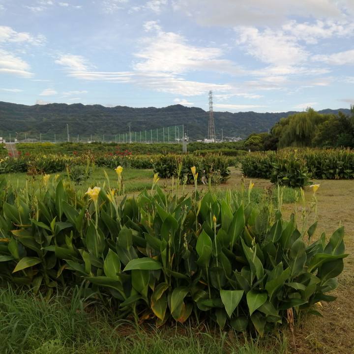 1597dbc0 add0 47fd bae4 15beae8209c4 1599903426149