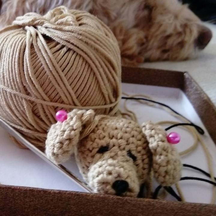 159807f9 0525 4116 8bdd 9dd6a58f749f 1532859639919