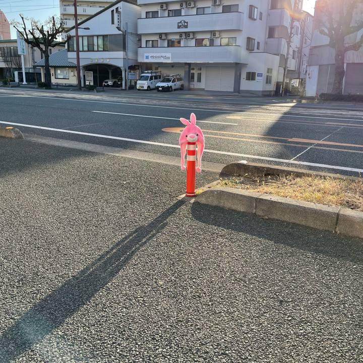 15982d62 867a 471a 9f15 b6e2e721a596 1672659677803