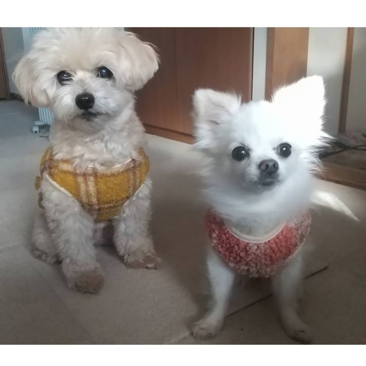 1598338c 1199 4a9d 8328 1b1aff281815 1637643976650