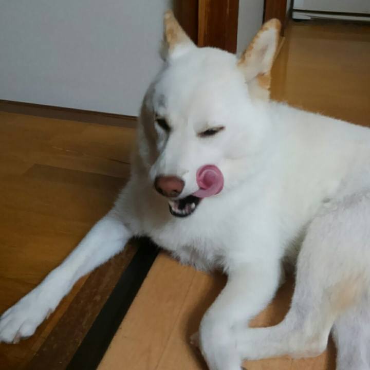 1598545e c9ac 46a9 be9a 8cc8f689986e 1532261530971