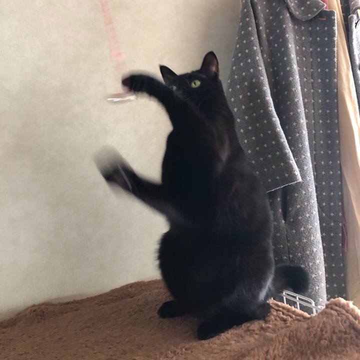 15985e77 18db 416d b092 8274a5ffecc7 1550384351070