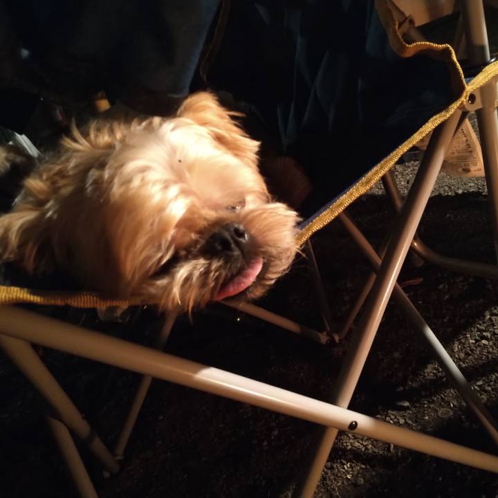 1598c177 51d3 4690 8c38 8741a2e9d762 1600512251969