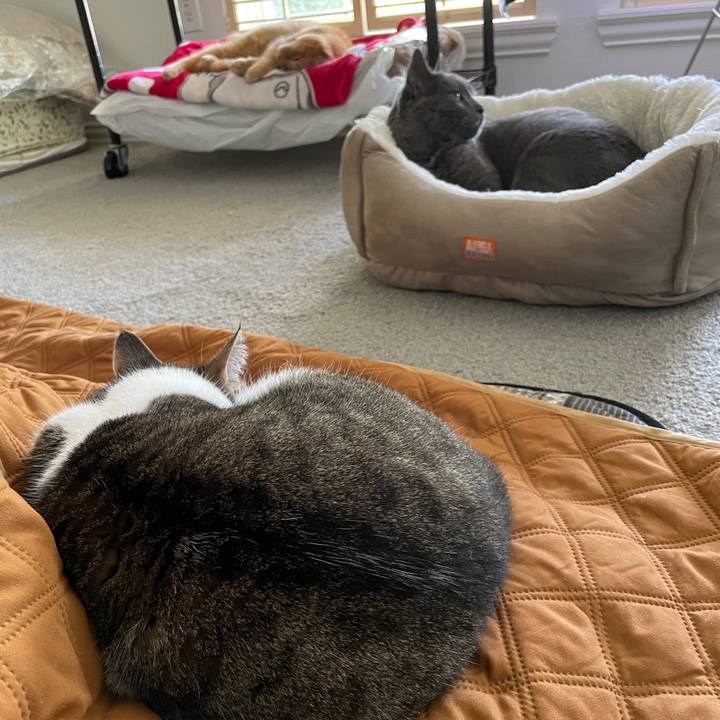 1598c50a 61ab 4355 b65d e600d5f51f7d 1694915246300