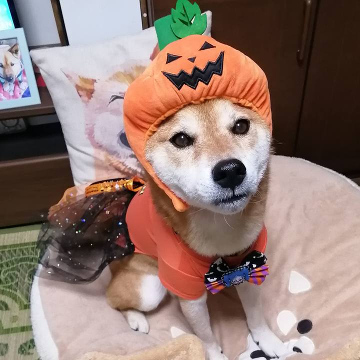 1598d014 f708 4f3e 9d14 8d7cdcf894a1 1663508360674