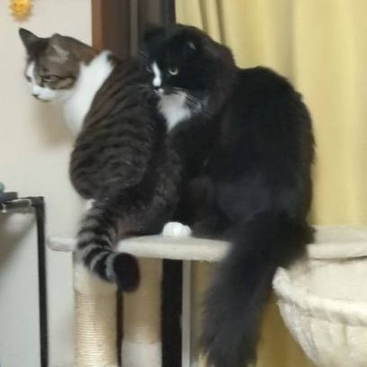 159922fc c5b7 43ce b3b4 46114616e6aa 1711797602231