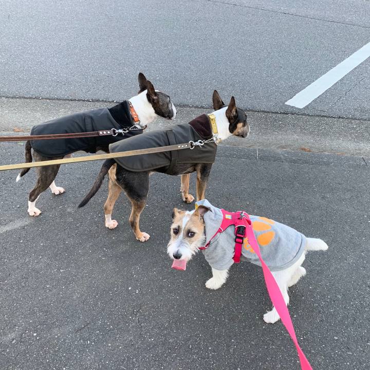 1599737c 2d59 4314 863f dccea22aa785 1576844878318