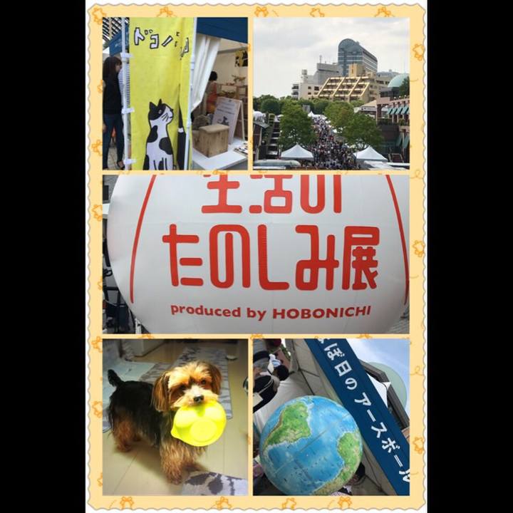 15998514 97b0 4e6d aa8c b64a778e042d 1528524977732