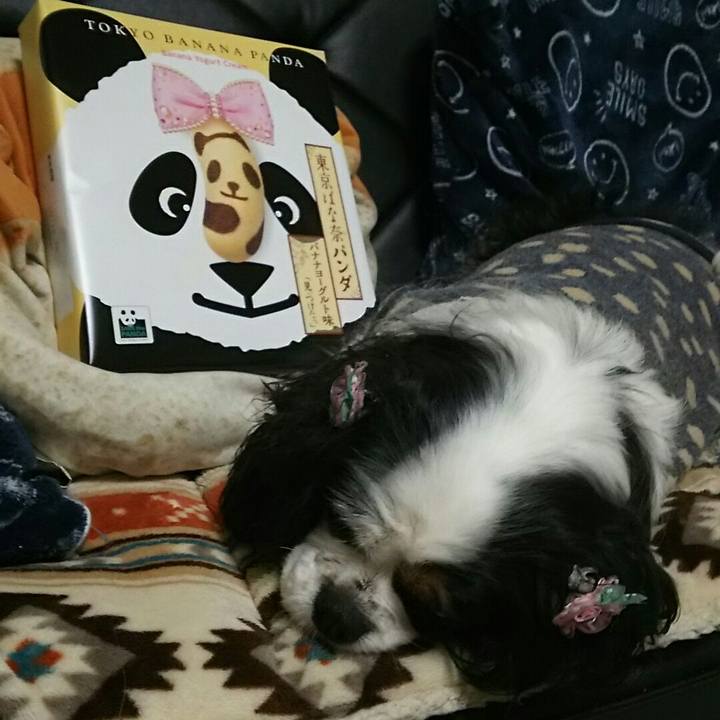 1599a4bc 27bd 42c5 9c85 54066df835f8 1545483695400