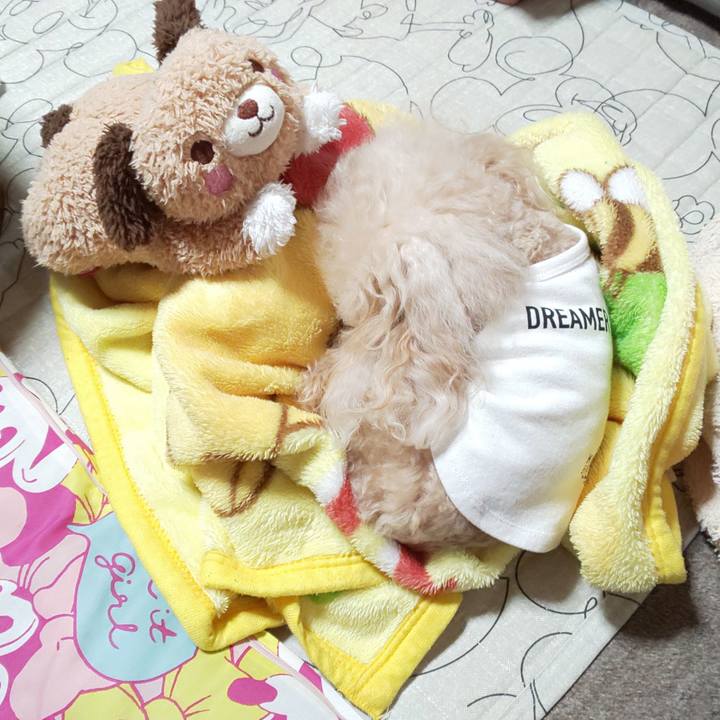 1599c3fd 8409 421c aab3 27c7f6833b86 1571915046047