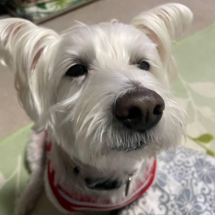 1599edb0 baa6 40f1 a445 ade690177562 1733321280522