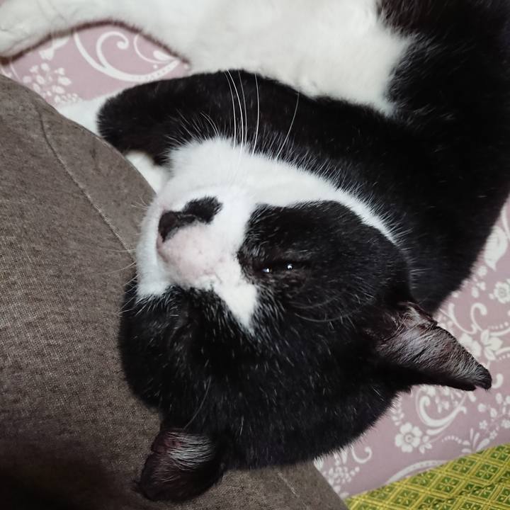 1599f7d0 6339 44c0 9fed b1a0501146af 1603276786149