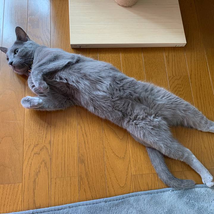 159a037e 221d 424b 8999 fe648afe1cb0 1632280965890