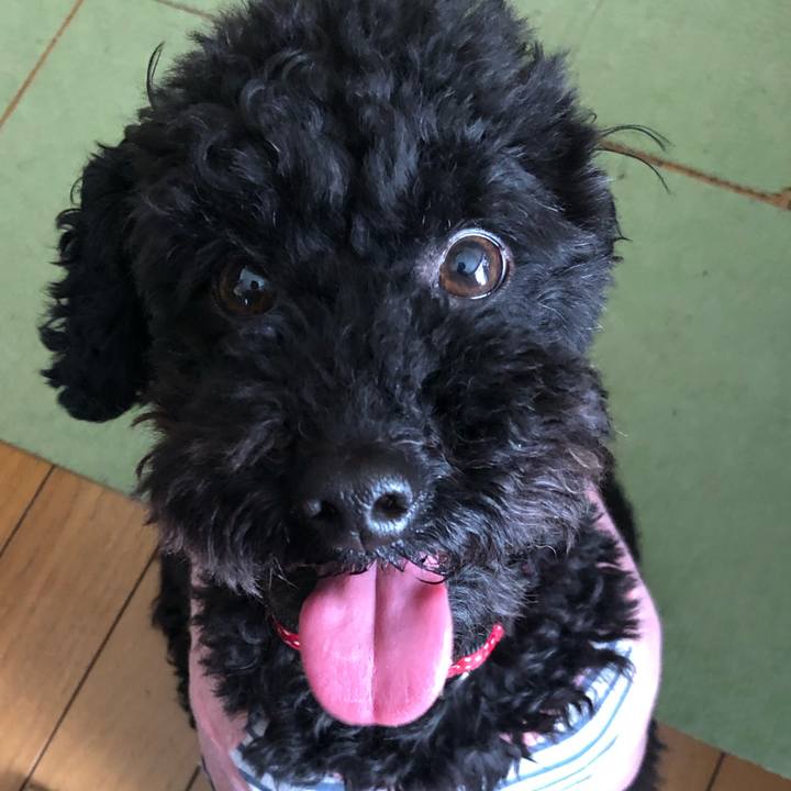 159a442a 0153 4116 894f 9184b485bd9b 1557016705678