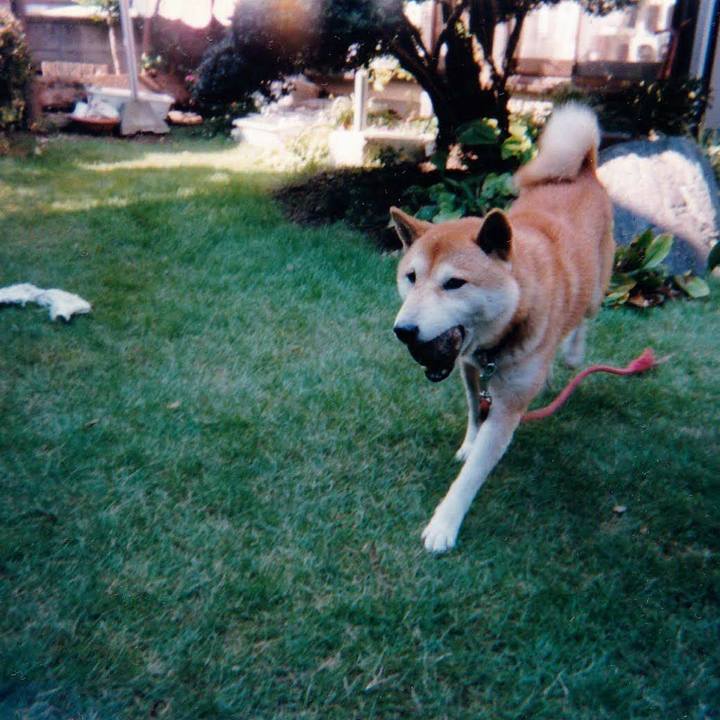 159a635c 7987 4ec6 8a25 f2e186eb9772 1753231441867