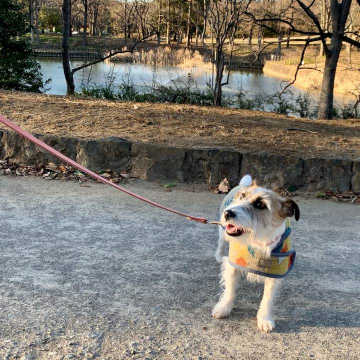 159a9753 5f4c 49df 9729 ed3a479c66cf 1677417785156