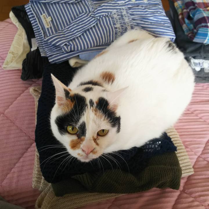 159aa28e 2a05 41de b185 dec93862b47f 1558152080453