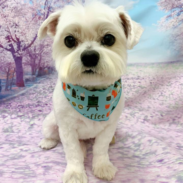 159aea19 4aca 46cb aad1 cbdbdde3dccb 1648203852727