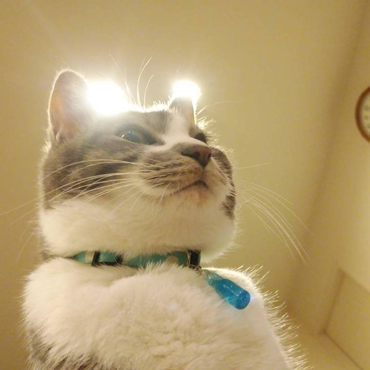 159b0162 90d1 4a2d bb19 3bc55325ee89 1583589734505