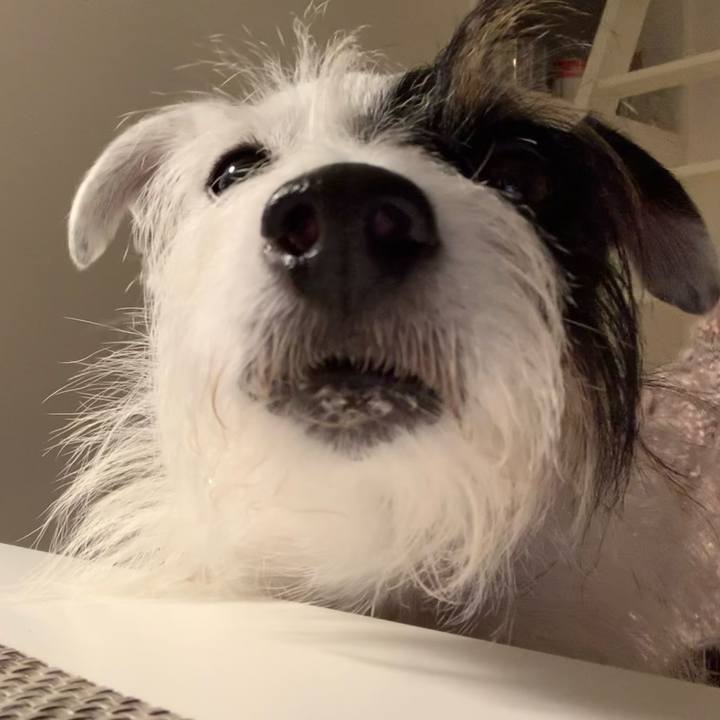 159b16ba 6b2b 497e b5cf 53b622bdd5c0 1636020369988