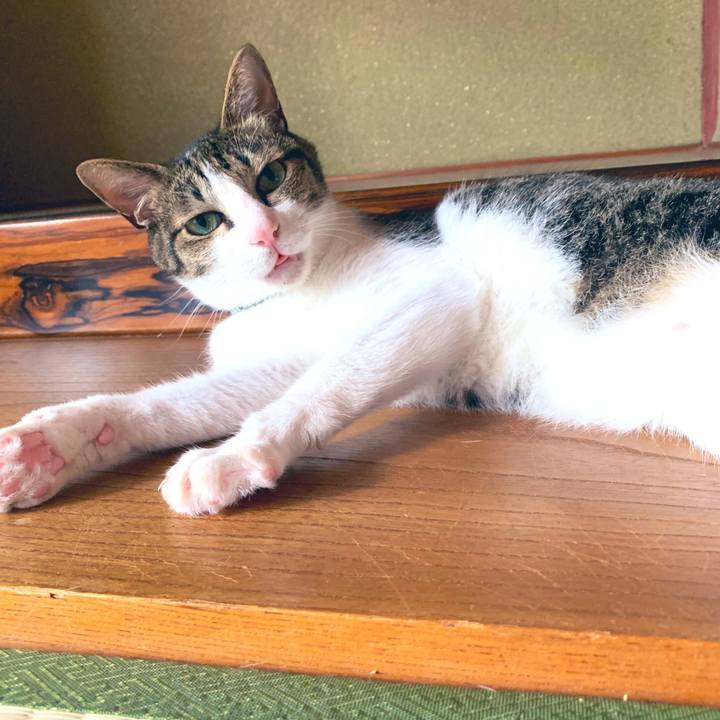 159b2d8c 1241 46f0 982b 3f5c36edd0c9 1565843943889