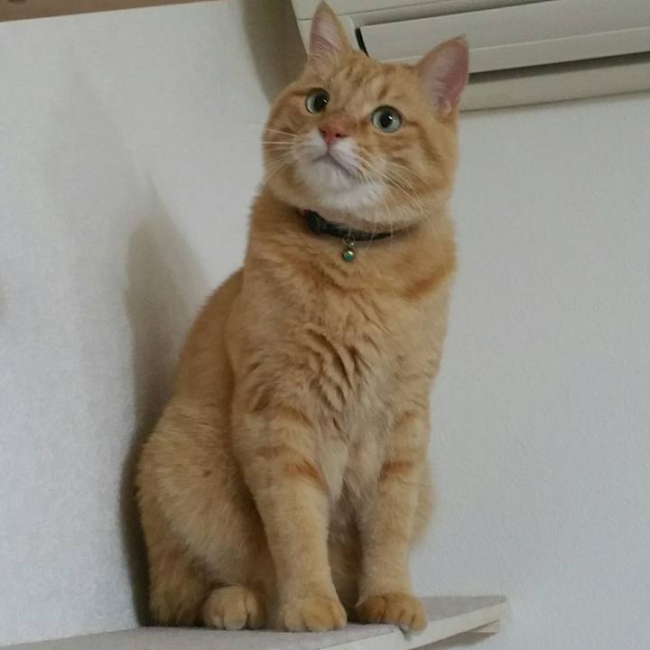 159b3bff 4ffd 4e4d b5e9 51e0711e804a 1544840409335