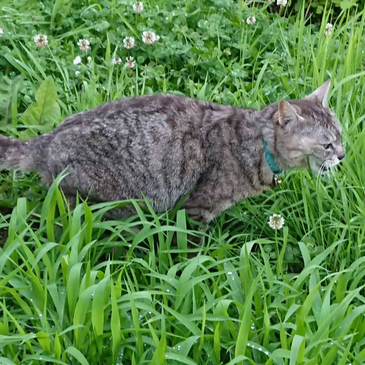 159b4aba a6f4 42bf 9792 1b3dd7d3f710 1561193294431