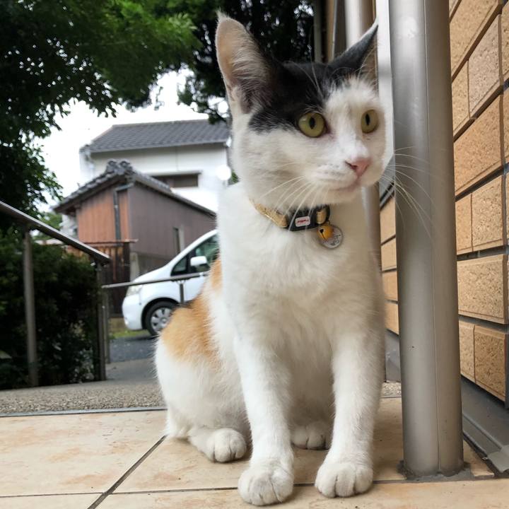 159c37b9 d792 484a a4bb de2fb9e43090 1630533519383