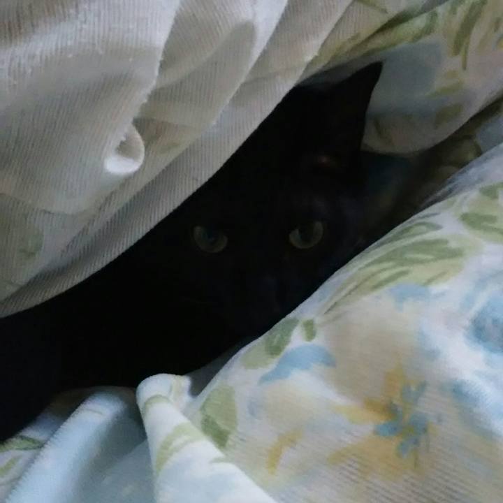 159c401d bdca 4624 8d25 e558441a6e6e 1543626757739