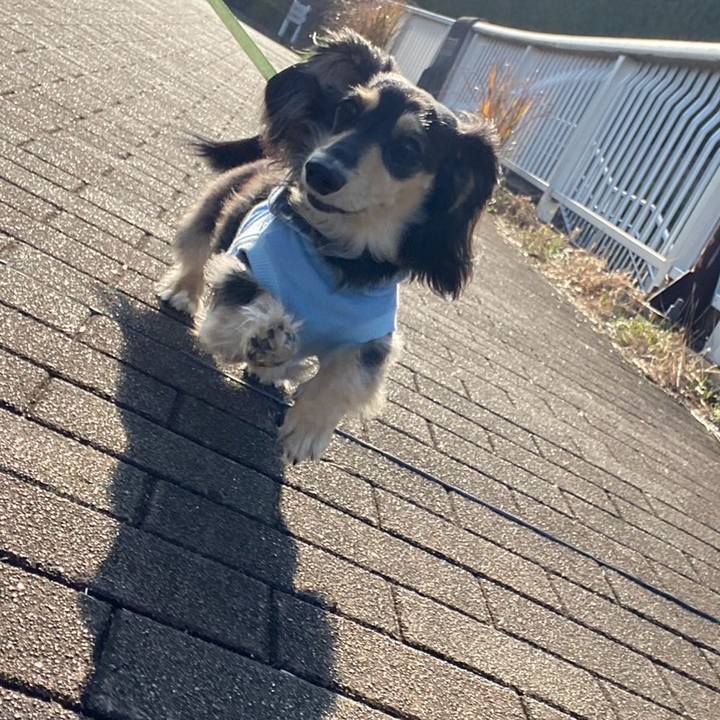 159c5882 3d87 4239 8a5f a0cf4709fa1a 1772254908271