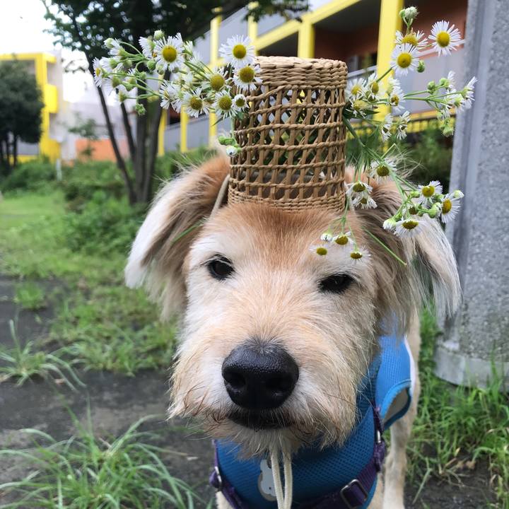 159c5dfb a33a 44bc a2d9 616077317a61 1595909064806