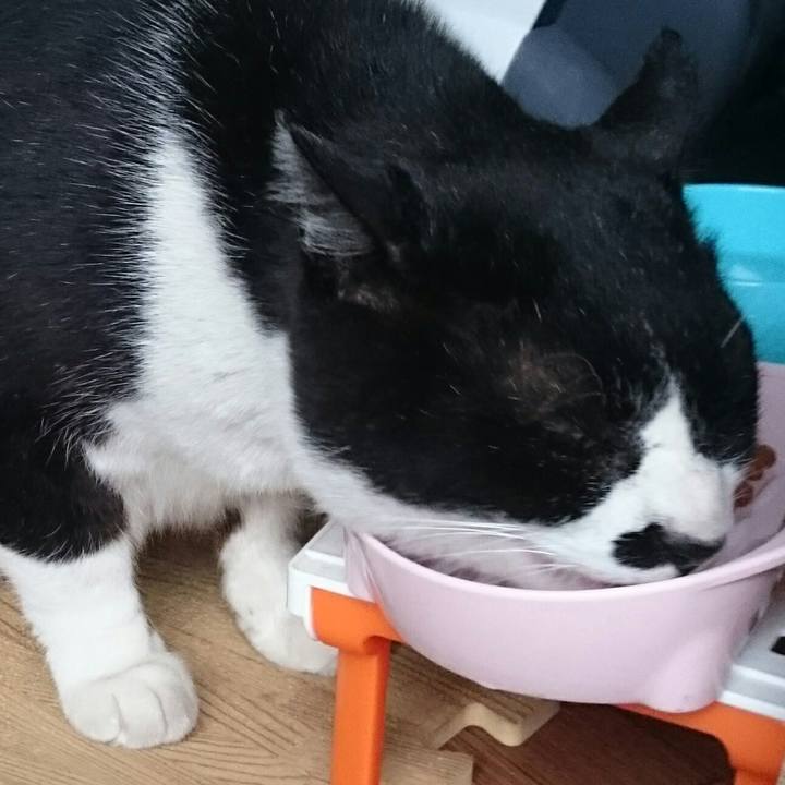 159cb1d7 9fdd 412d 8388 e52ee30fbfa0 1521171451180