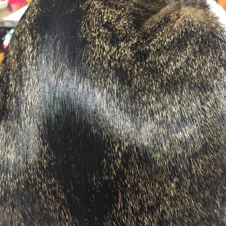 159cd1ce b4e6 437e ac97 4832823f4b1e 1544925474840