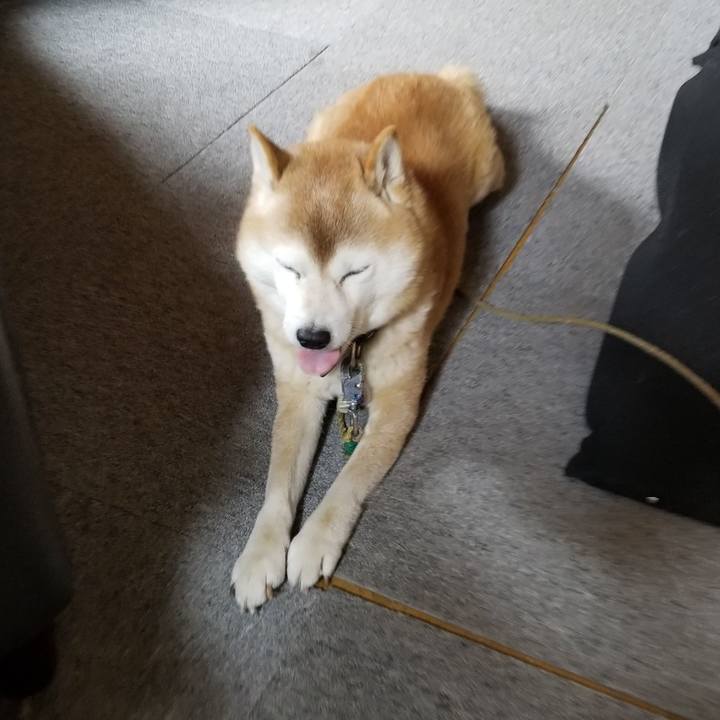 159cfdaf 3047 434e a3da c301281154d9 1701301756676