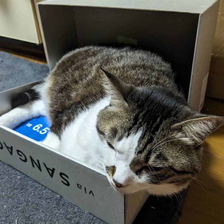 159d0a06 2dcb 4816 ad0a 2b20ddd46c46 1710645527029