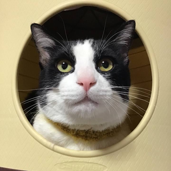 159d3b8b bdfa 4b68 af65 a731d419032a 1648971650682