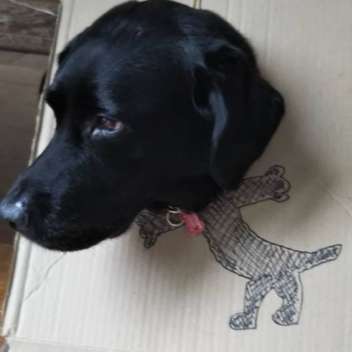 159d79b3 fe91 4331 9509 bcef4a1ce4f8 1691806494491